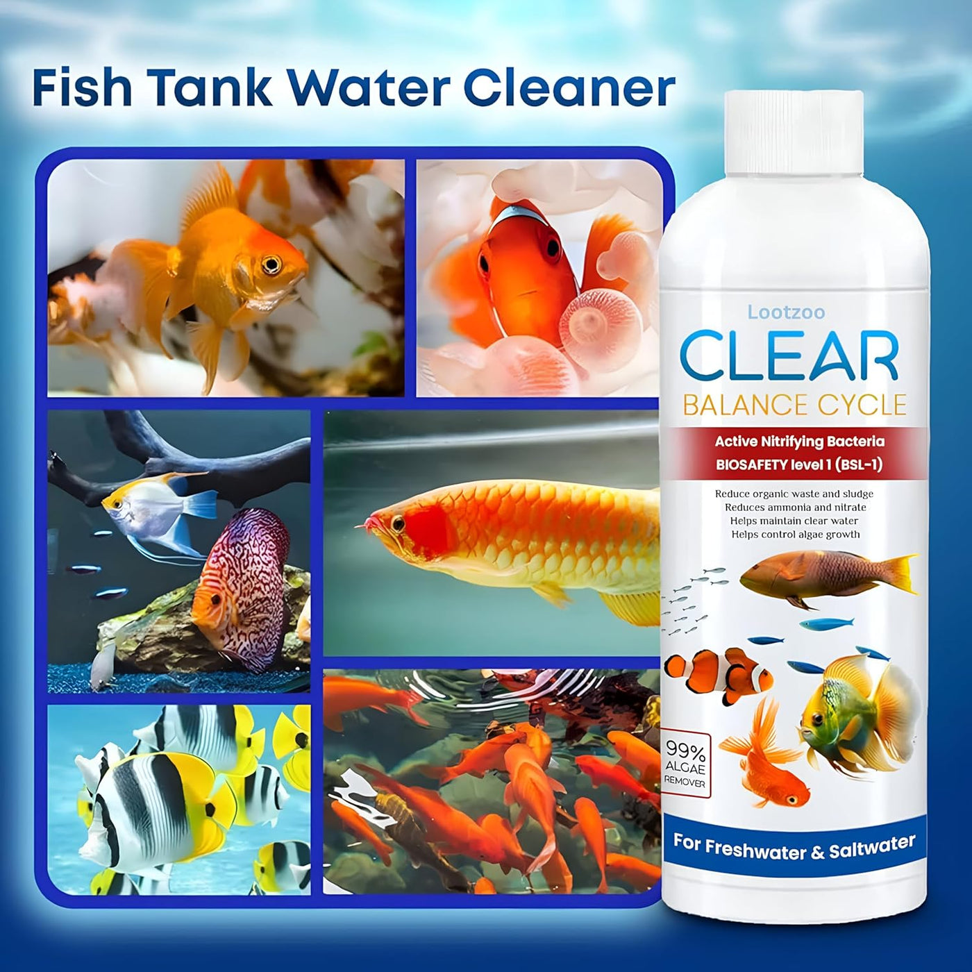 Fish Tank Water Purifier & Algae Remover ( BUY 1 GET 3 )