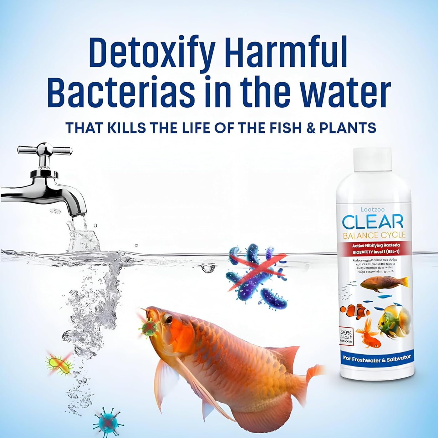 Fish Tank Water Purifier & Algae Remover ( BUY 1 GET 3 )