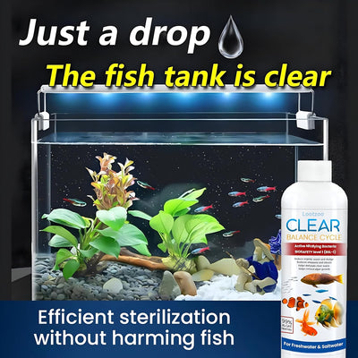 Fish Tank Water Purifier & Algae Remover ( BUY 1 GET 3 )