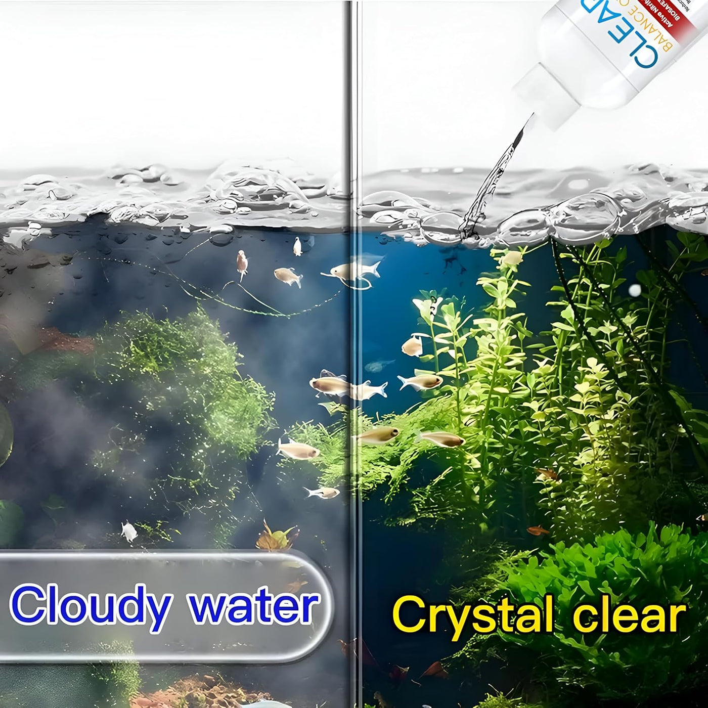 Fish Tank Water Purifier & Algae Remover ( BUY 1 GET 3 )